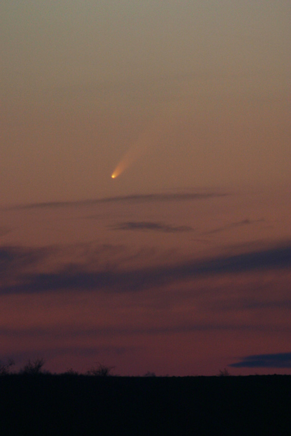 comet McNaught