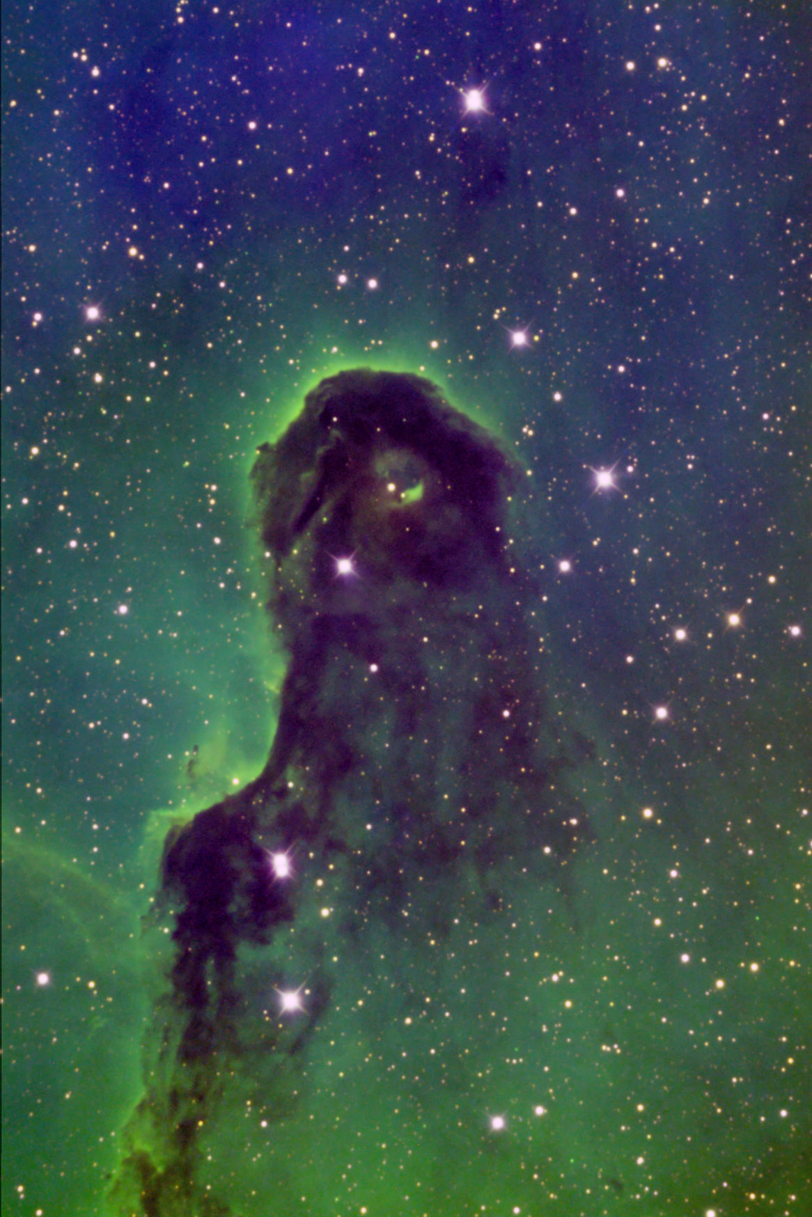 VDB142 Narrow Band