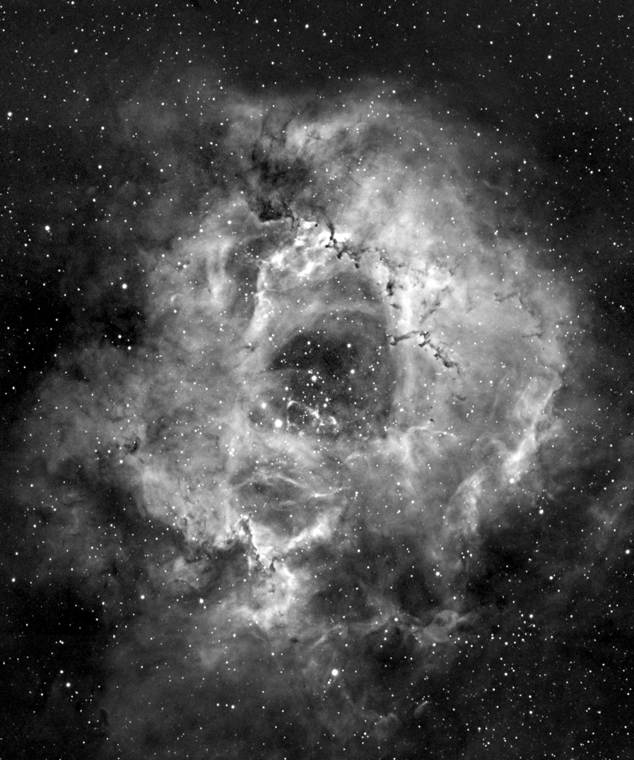 Rosette Mosaic in HA