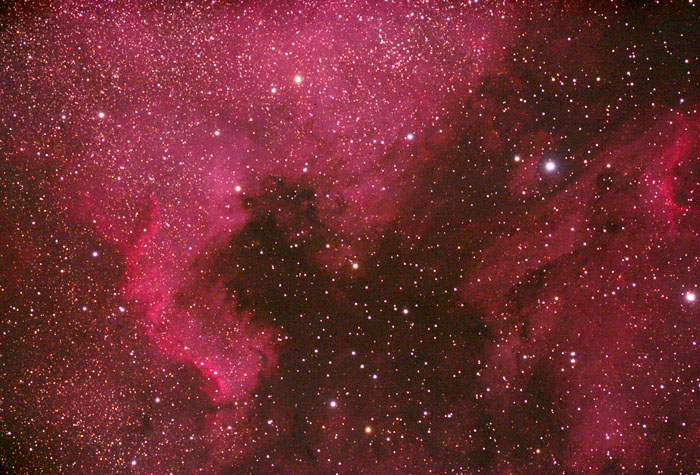 NGC 7000
