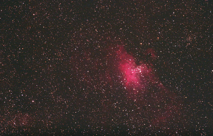 M16 widefield