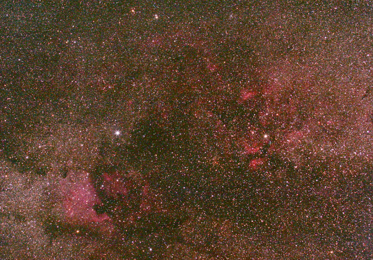Cygnus widefield