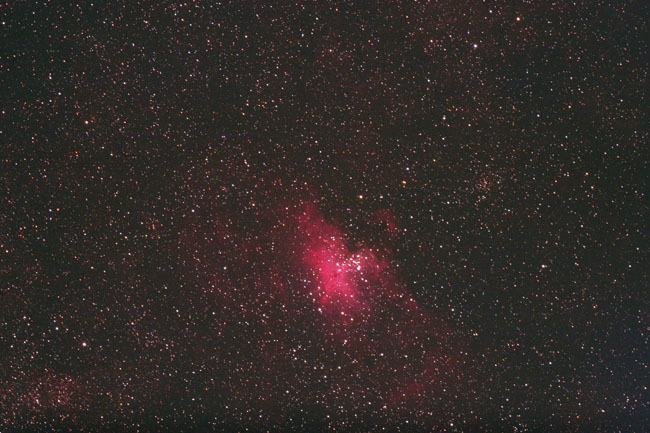 M16 widefield