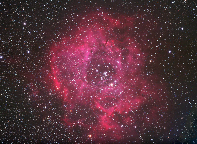 Rosette 2006
