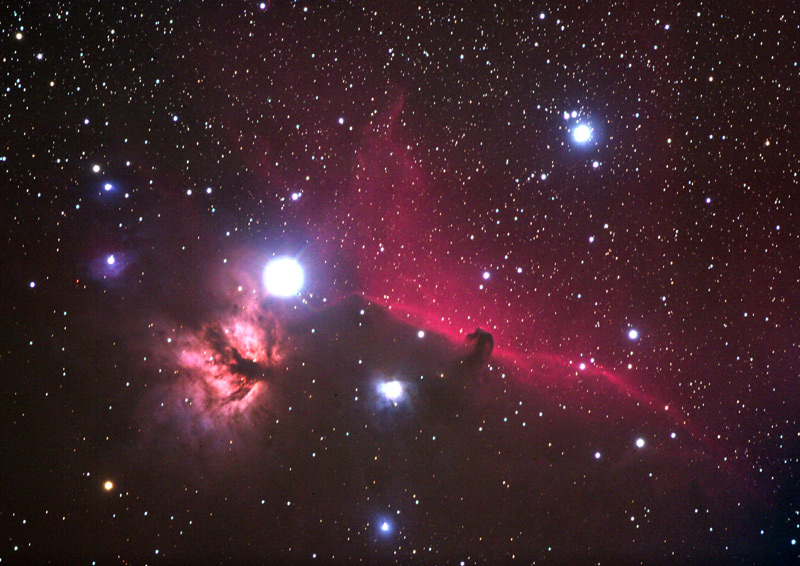 Horsehead 2006