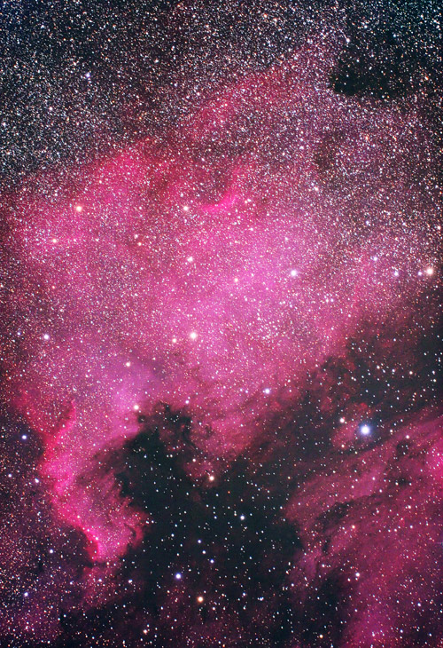 North American Nebula
