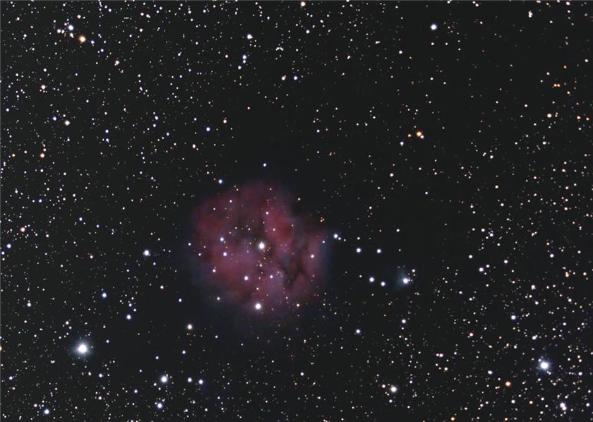 Cocoon Nebula