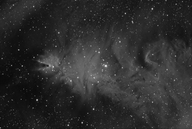 NGC 2264 & Friends