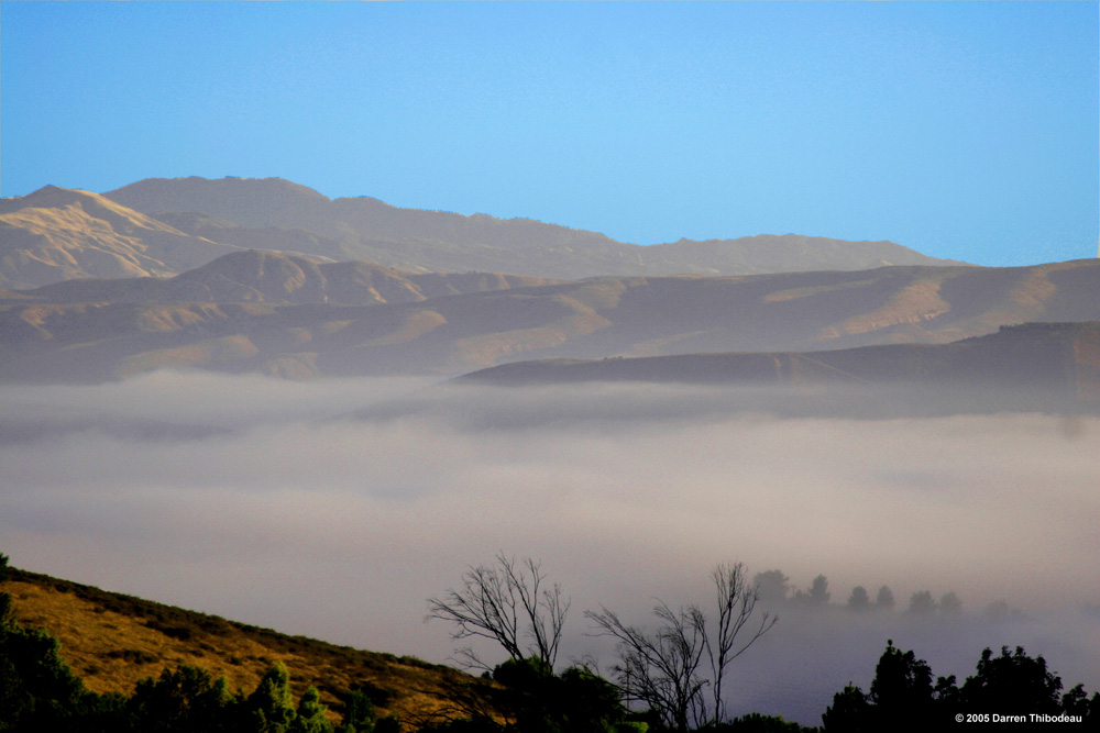 Valley of Fog