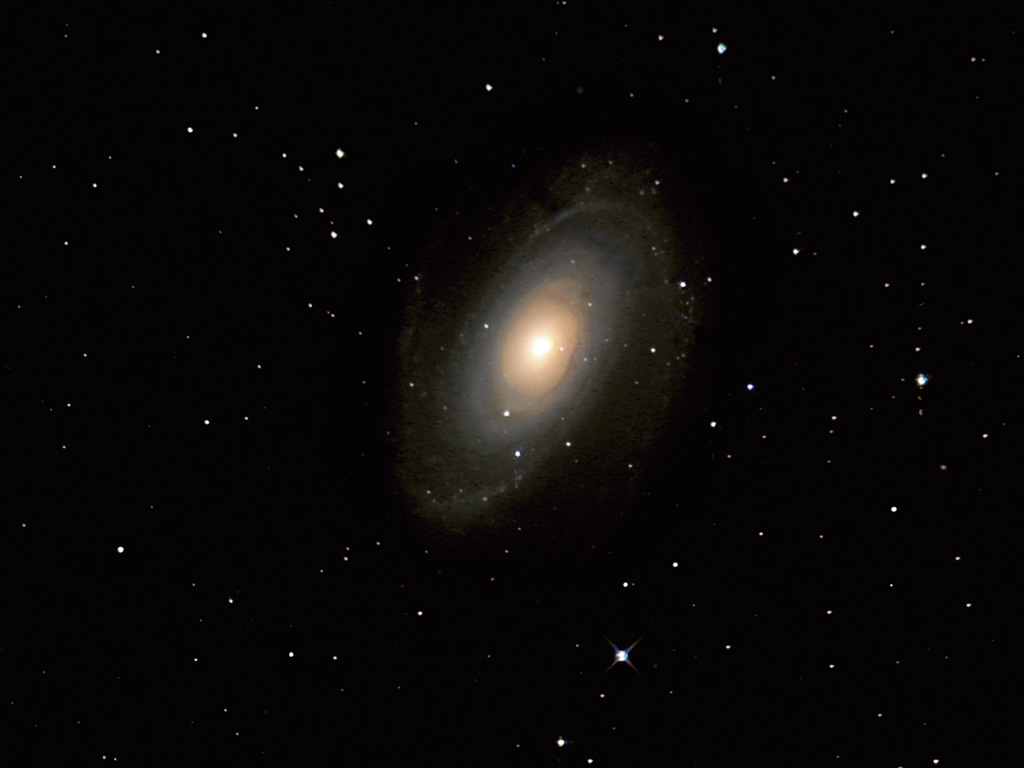 m81
