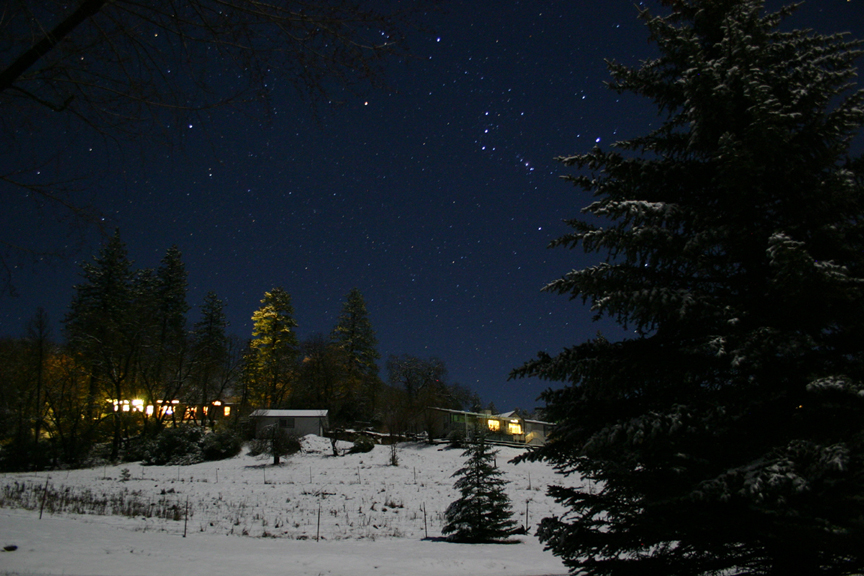 Orion Rising
