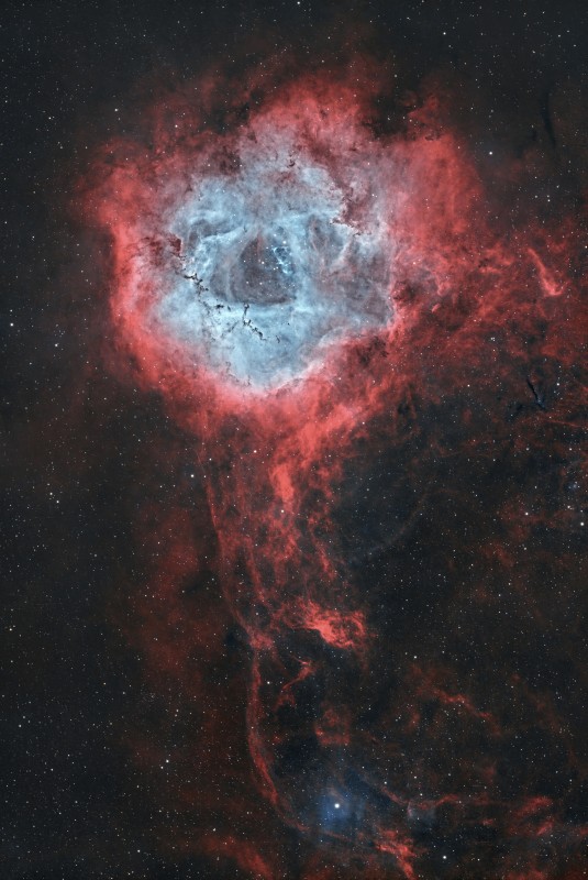 Rosette Nebula