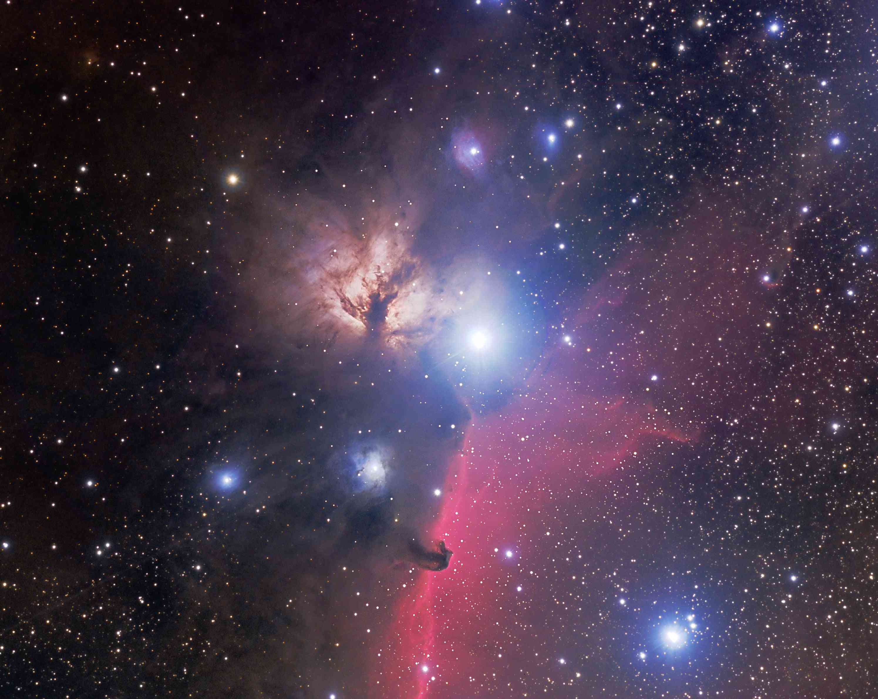 Horse Head Region