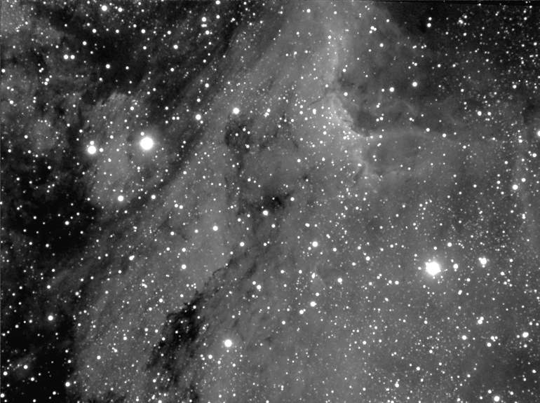 Pelican (Stellar Variety)
