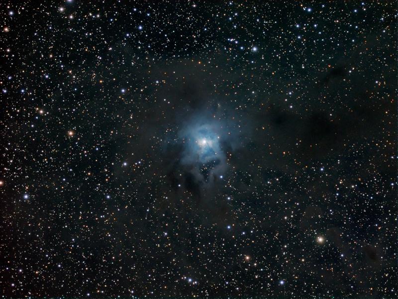 NGC7023 The Iris