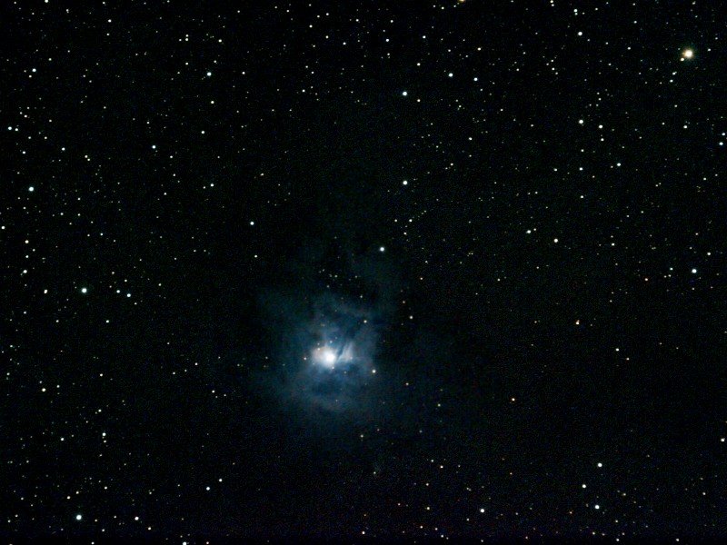 NGC 7023 Iris Nebula