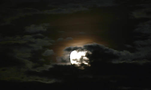 Bad Moon Rising