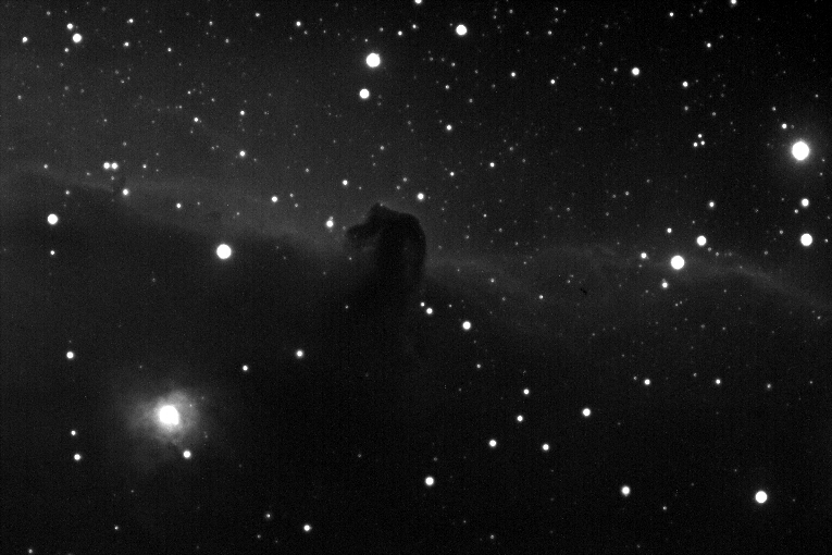 Horsehead