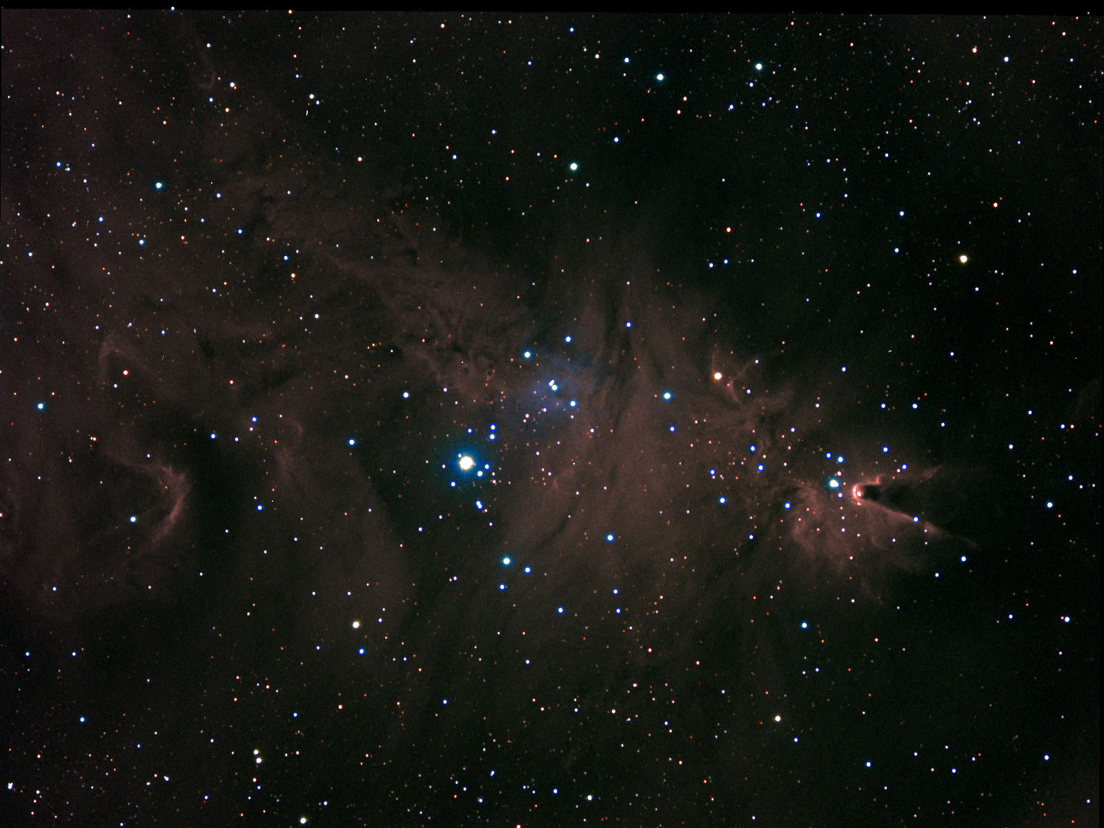 NGC-2264