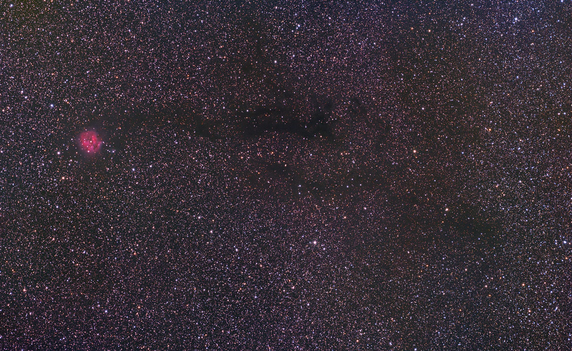 Cocoon Widefield