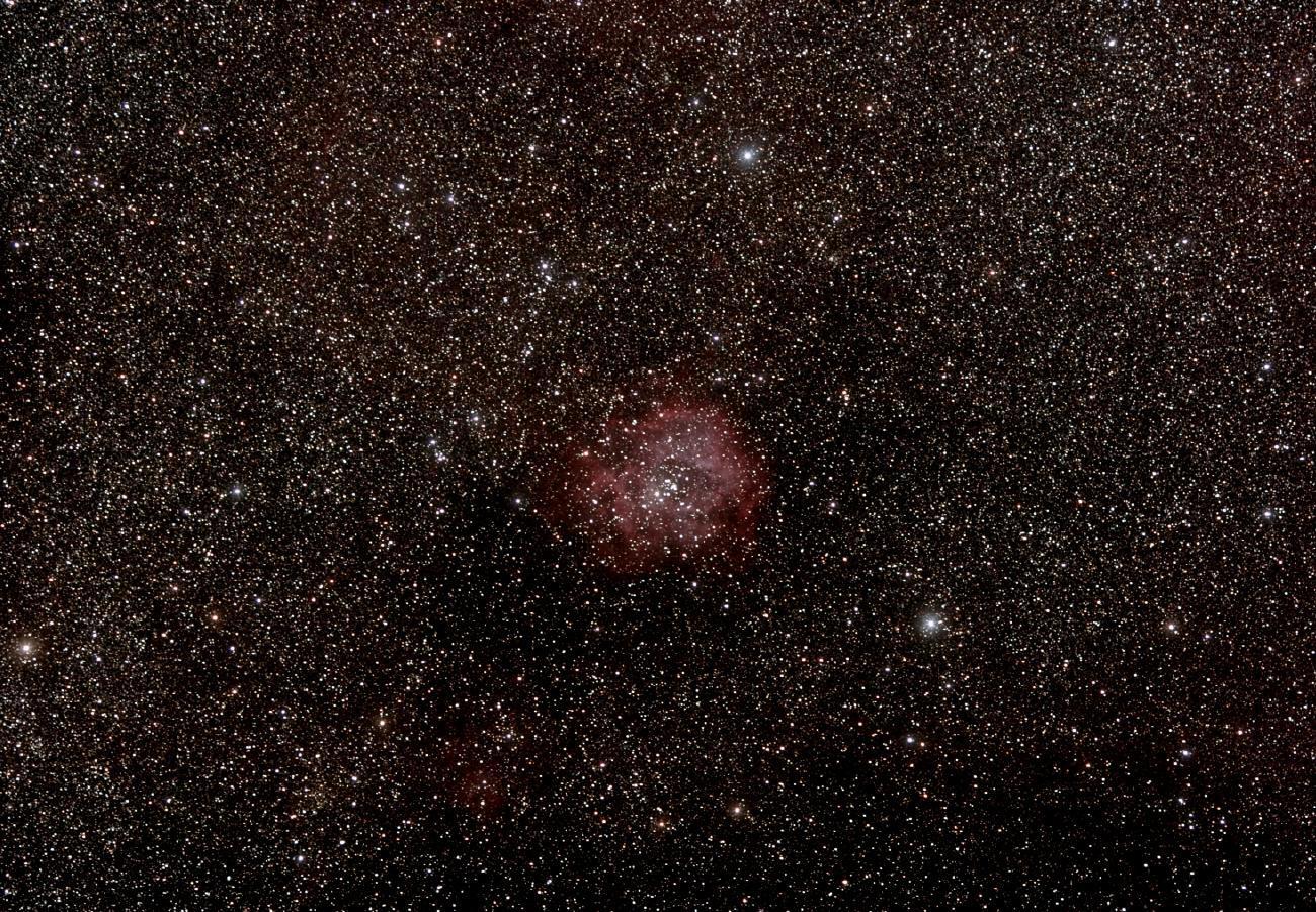 Wide field Rosette