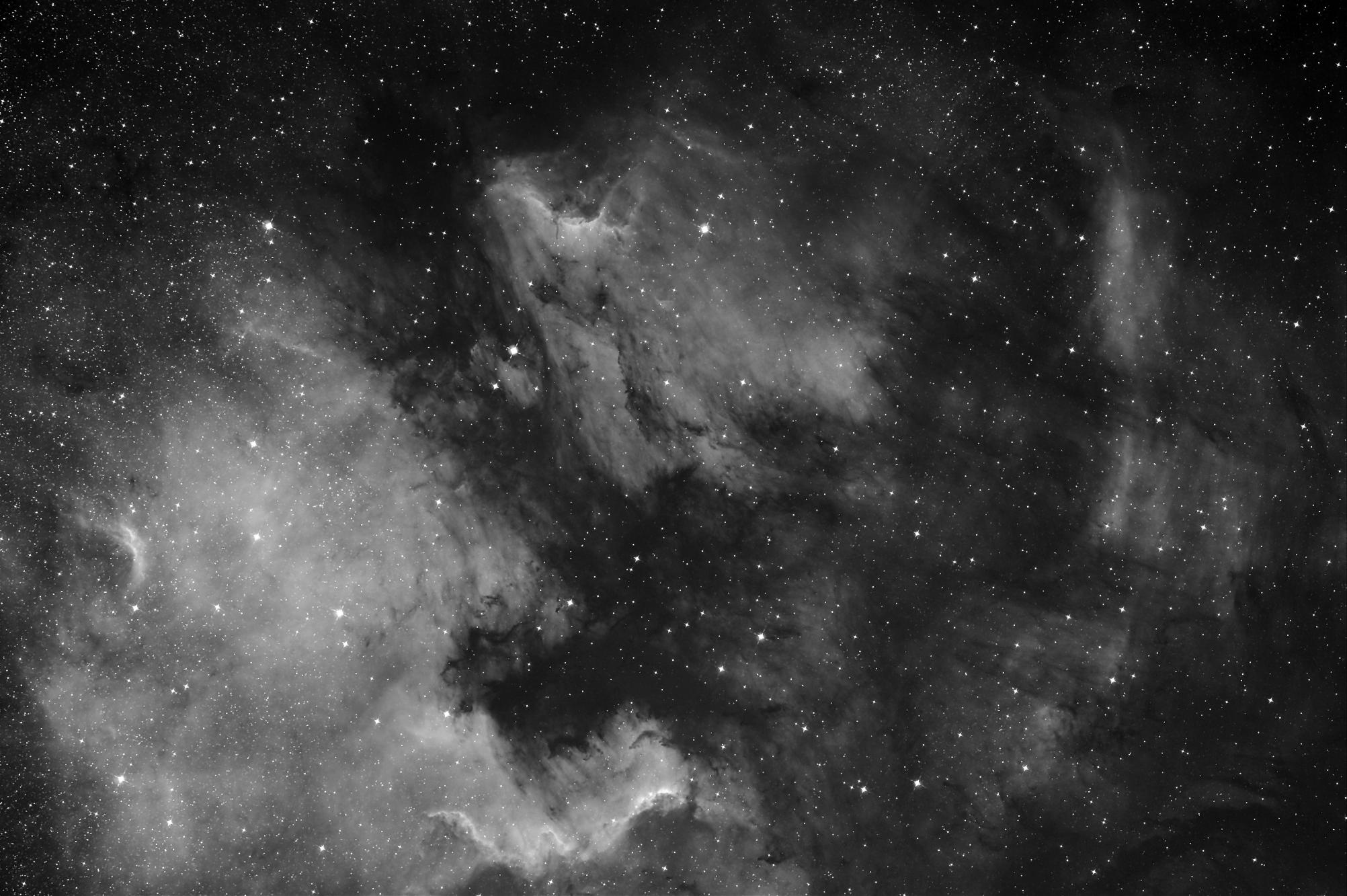 NGC 7000 in HA