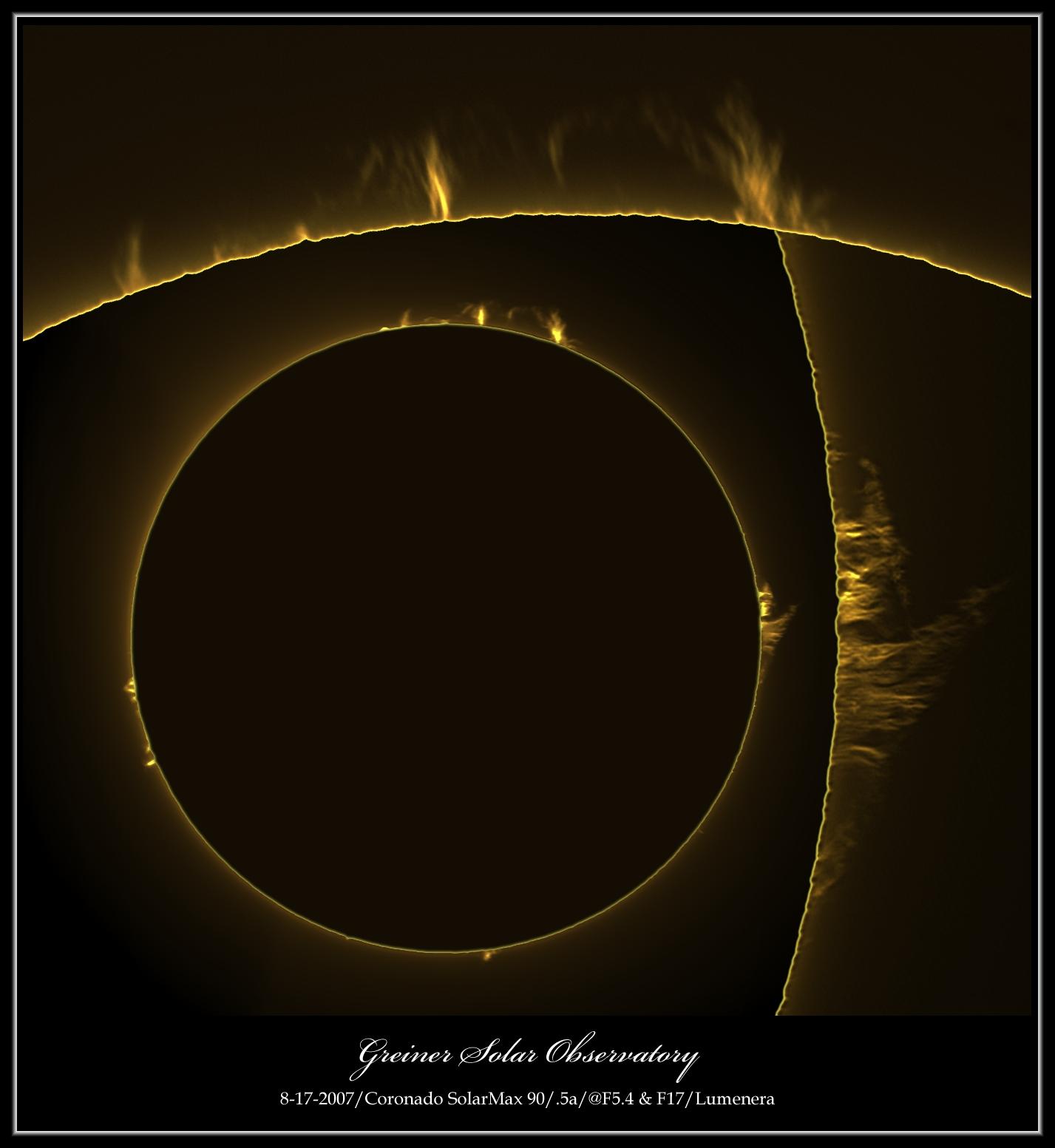 Blank Sun! No Way!