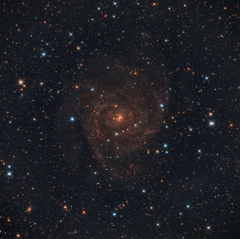 IC 342