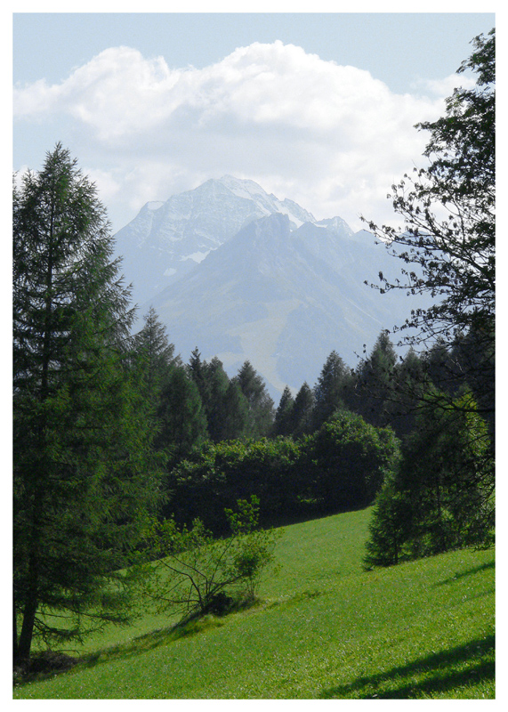Alpine View