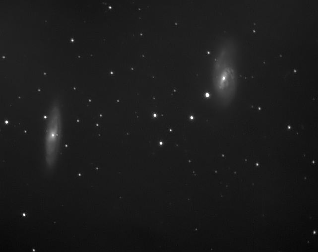 Lions eggs (M65 M66)