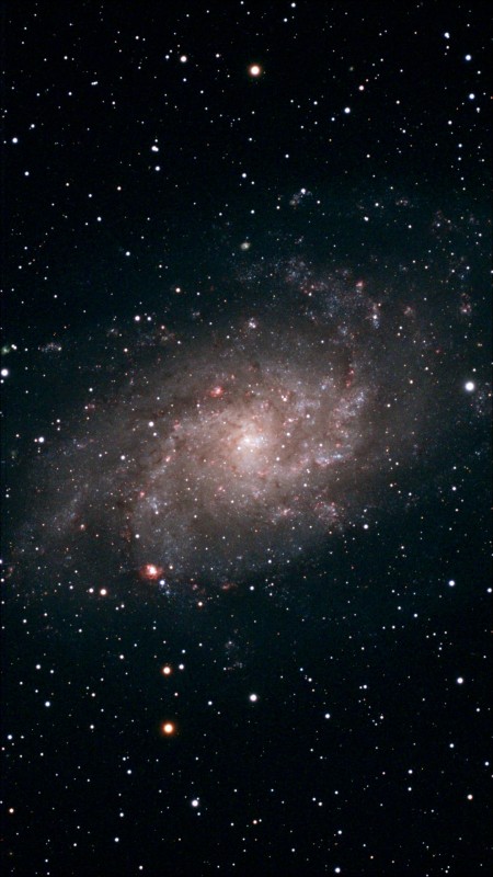 M 33
