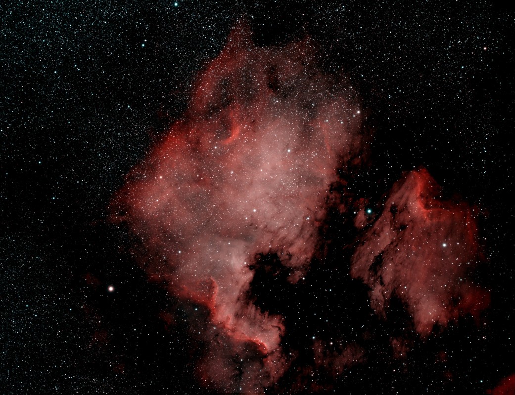 NGC 7000 and Pelican  Nebula