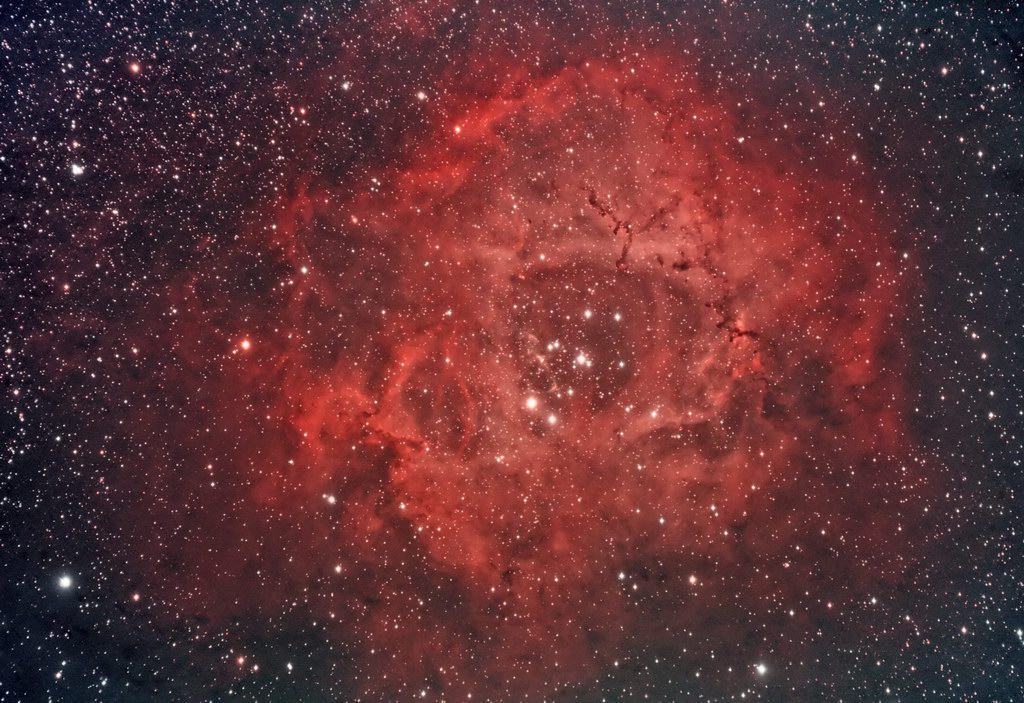 NGC2244 Rosette