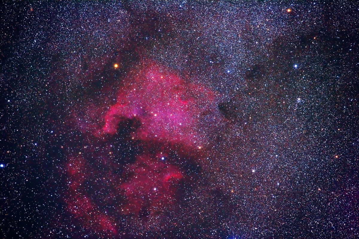 North American Nebula, Cygnus star field