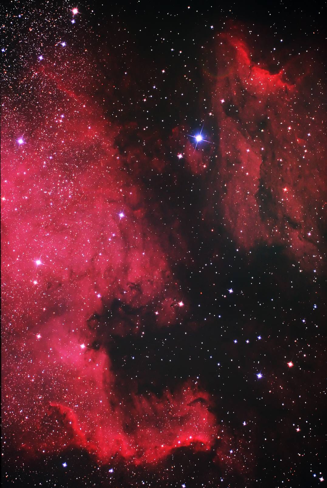 North American and Pelican Nebulas