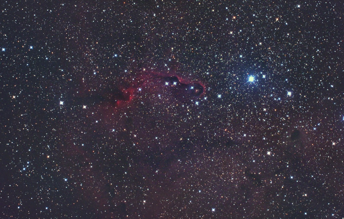 VDB142 - Elephant trunk nebula