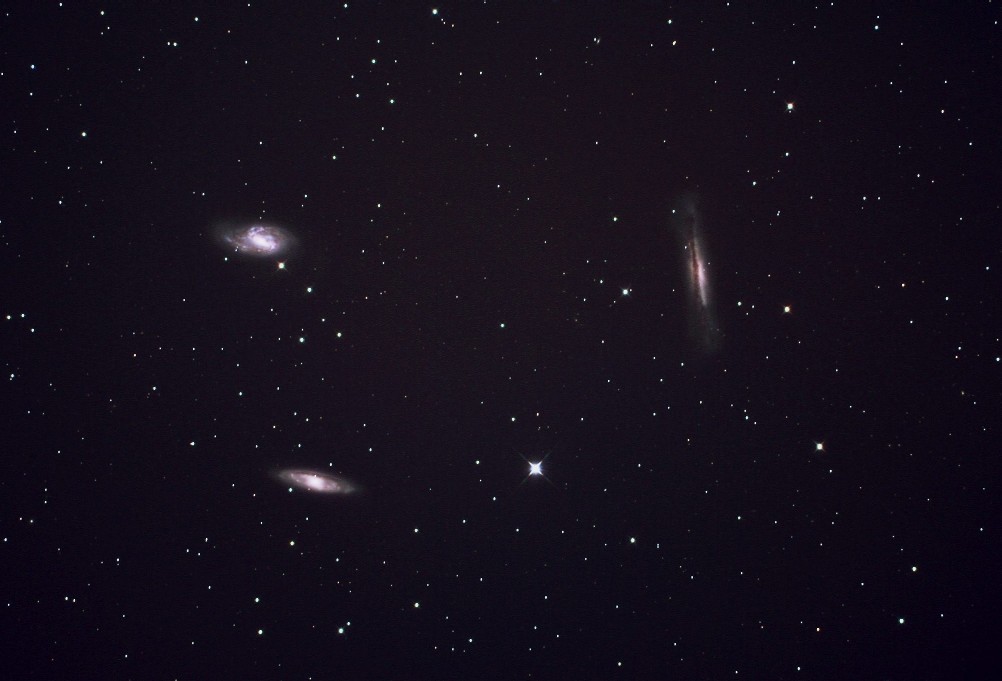 Leo Triple