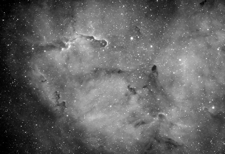 VDB142 & Surrounding Nebulosity