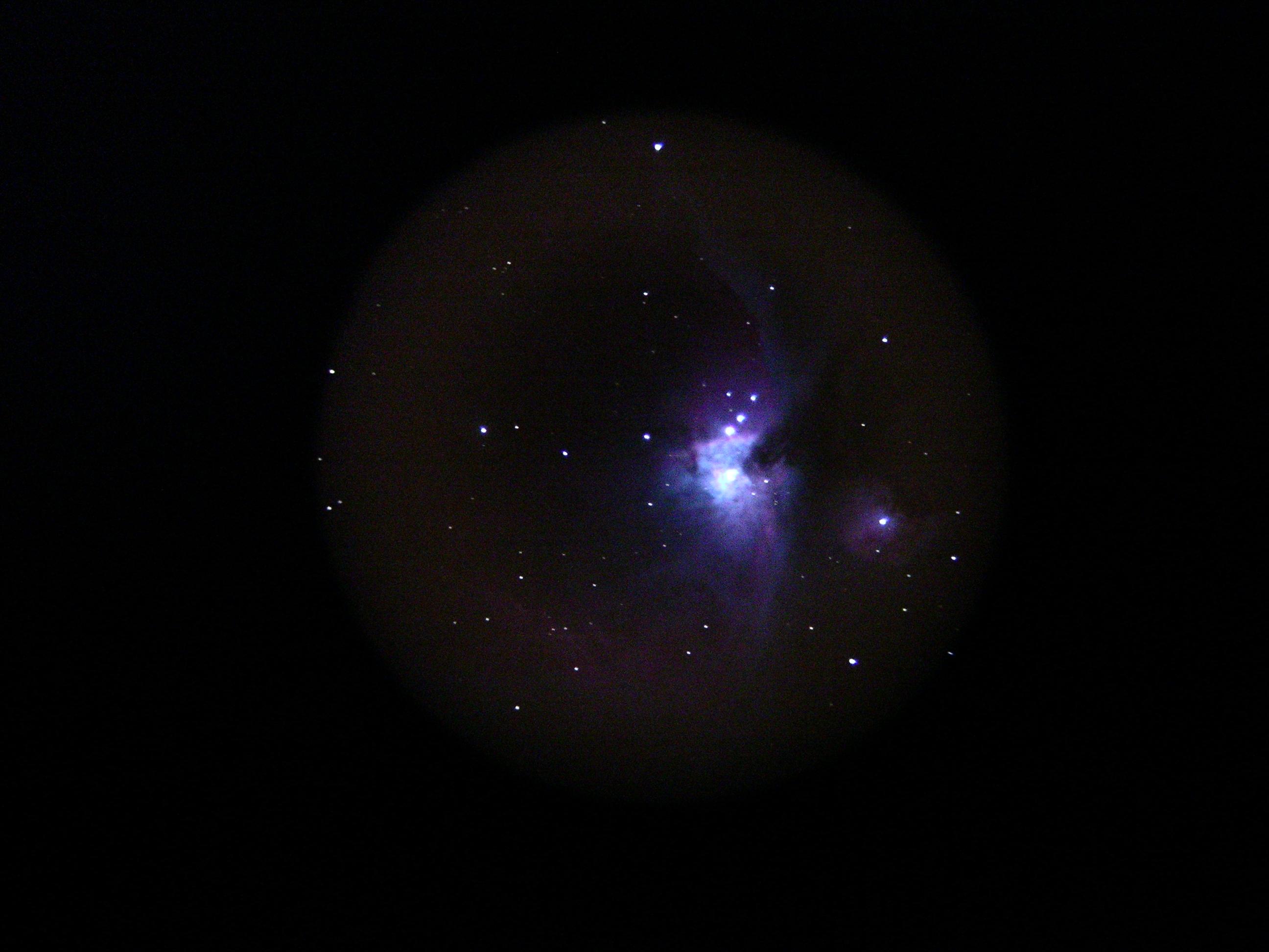 orion neb