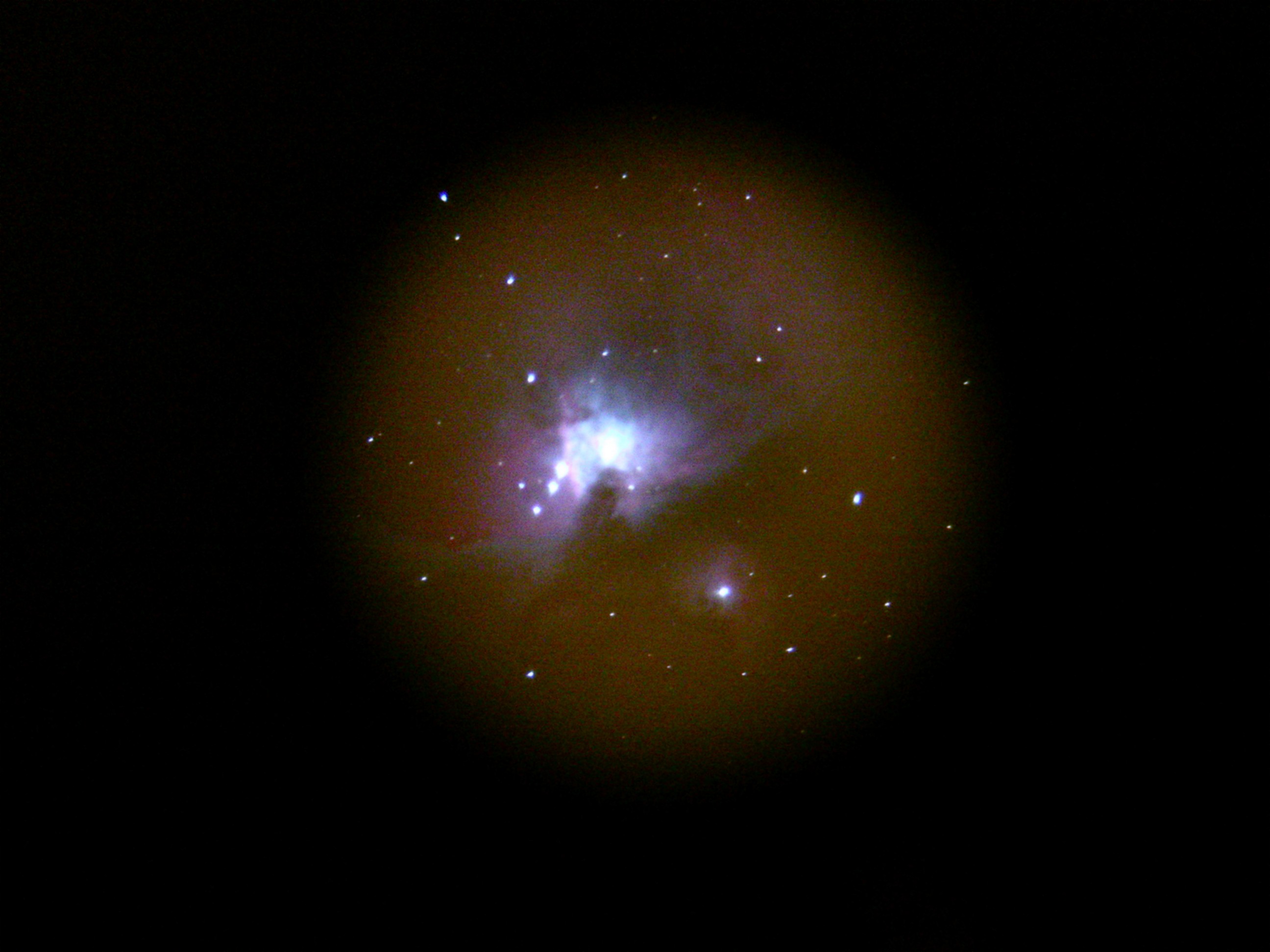 M42 THRU TREES