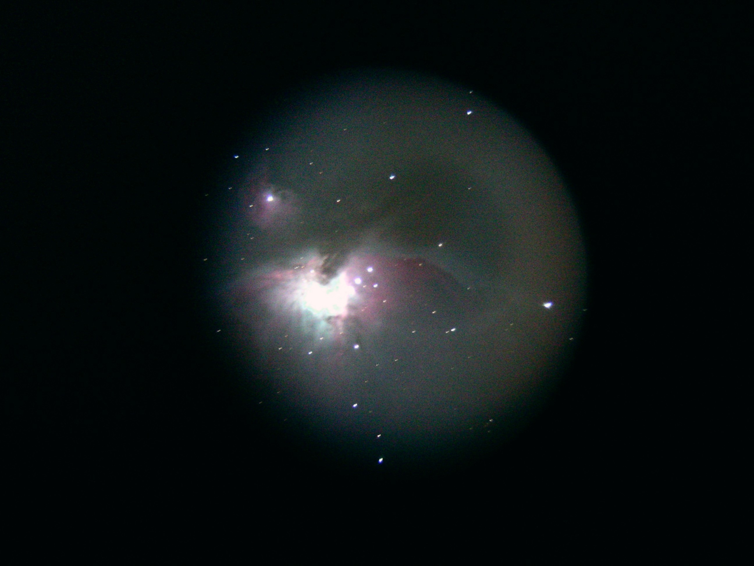 early orion