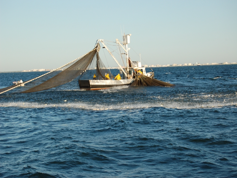 bunker seining