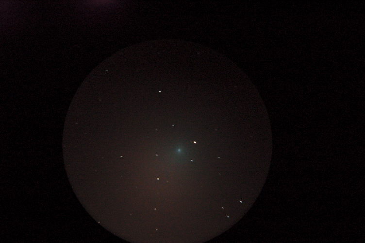 comet tuttle