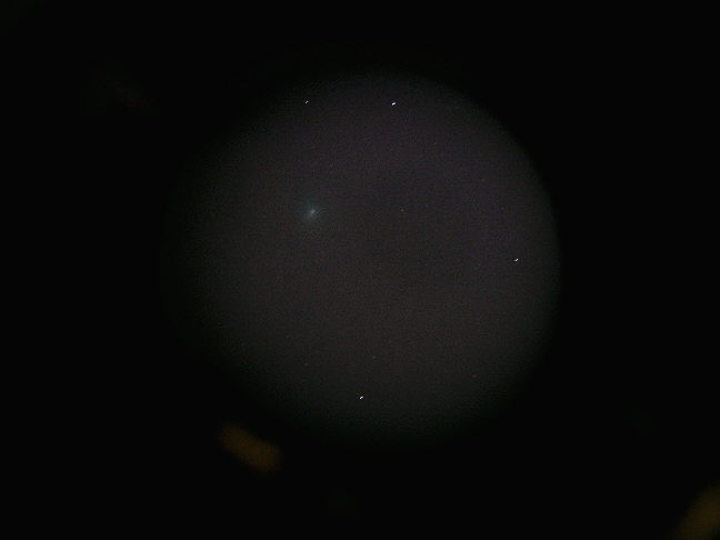 comet 29p S.W.