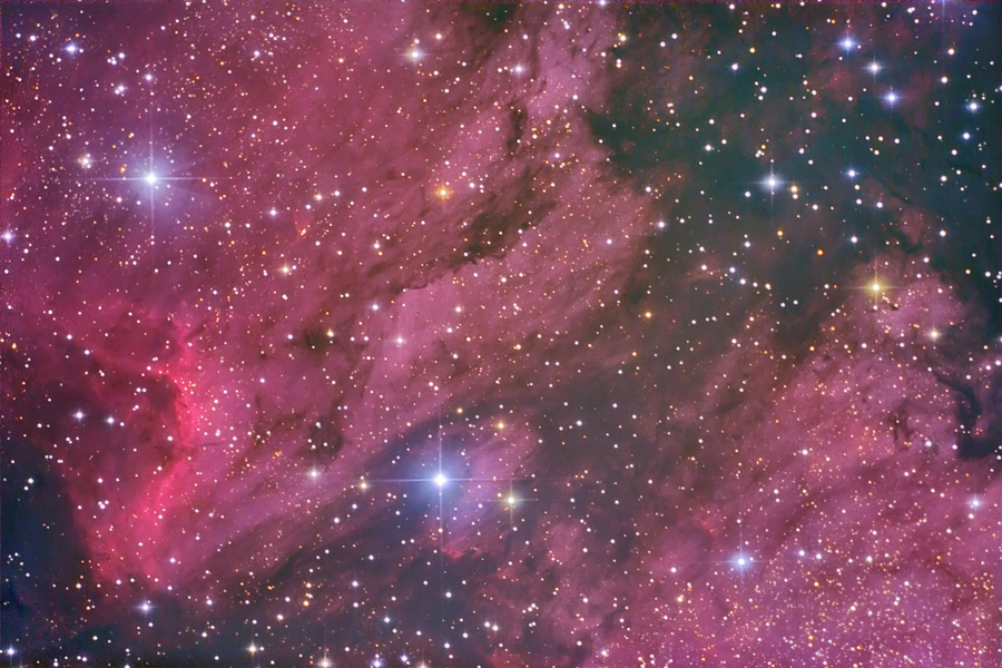 The Pelican Nebula