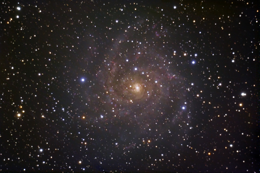 IC 342