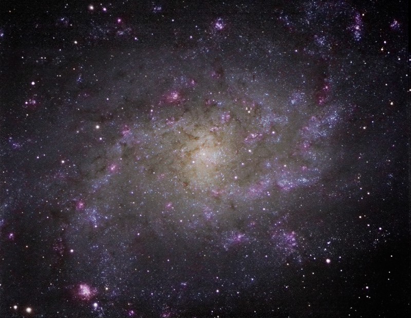 M33 - First Light with 11" Edge HD