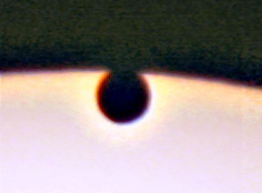 Venus on the Edge
