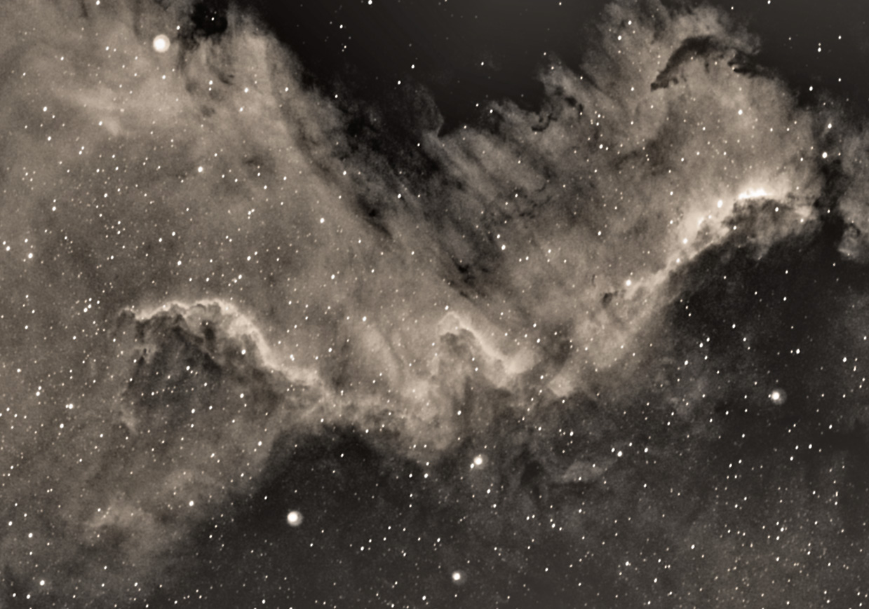 NGC 7000 South Part