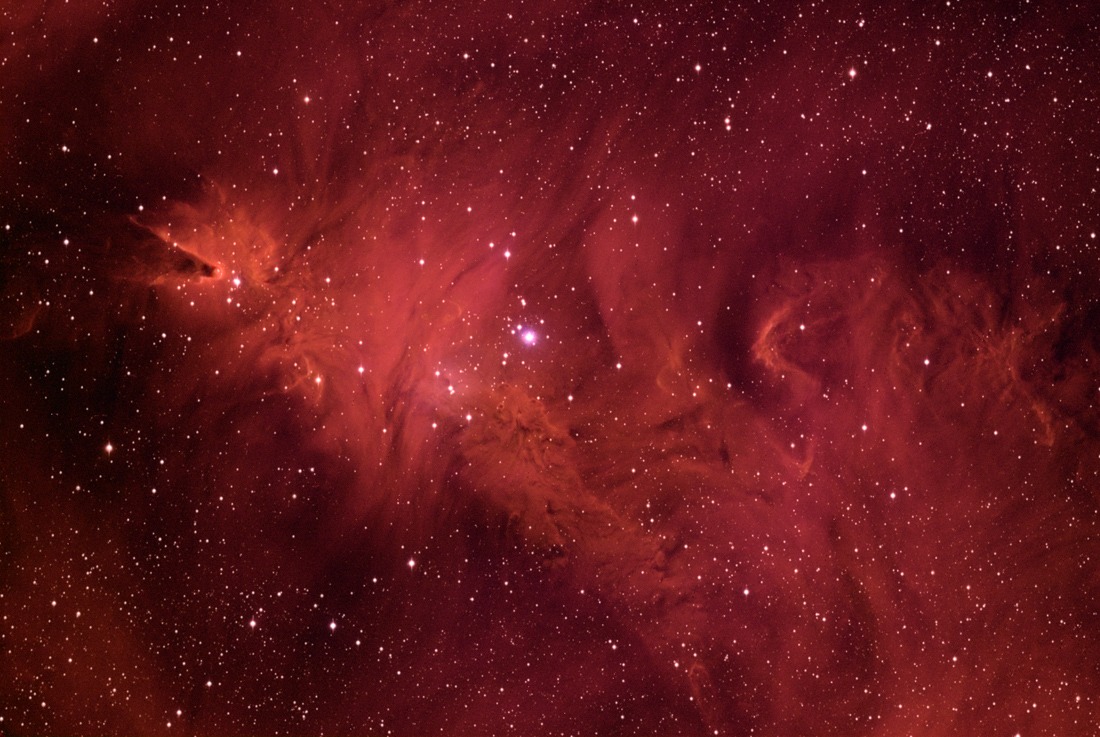The Cone and Fox Fur Nebulae